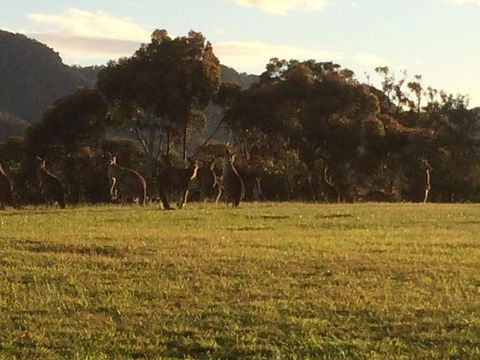 Grapevines Boutique Accommodation - Accommodation Sunshine Coast 26