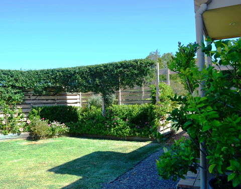 Grapevines Boutique Accommodation - Accommodation Sunshine Coast 14