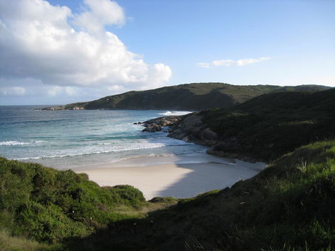 Albany Motel & Apartments - Accommodation Sunshine Coast 23