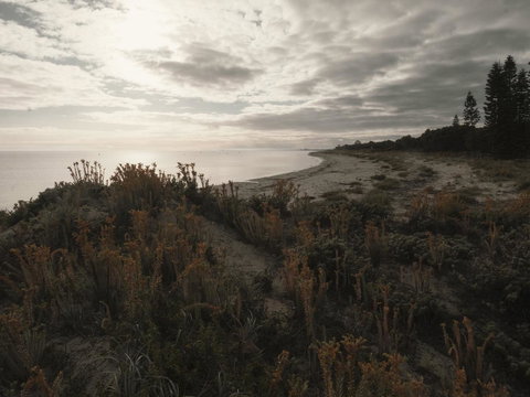 FortyOne - Oceanside Retreat Busselton - Accommodation Sunshine Coast 7