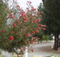 The Heights Bed  Breakfast - Accommodation Sunshine Coast