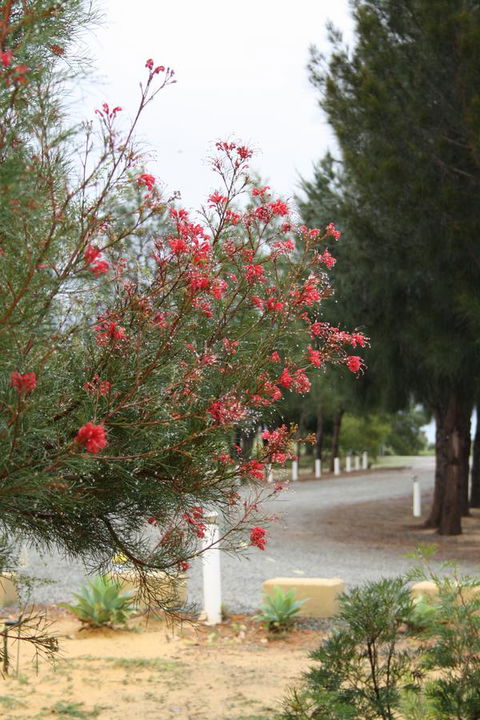 The Heights Bed & Breakfast - Accommodation Sunshine Coast 0