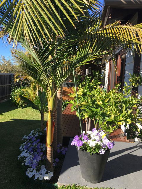 Bella Bali Gardens - Accommodation Sunshine Coast 23