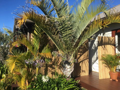 Bella Bali Gardens - Accommodation Sunshine Coast 7
