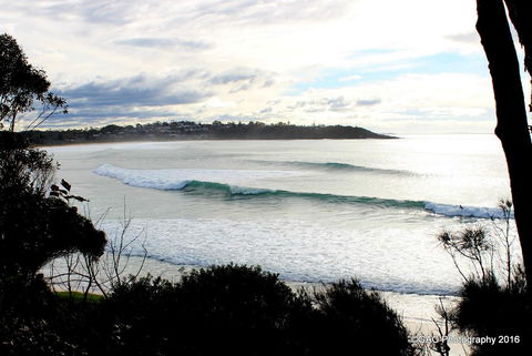 Mollymook Cove Apartments - Accommodation Sunshine Coast 2