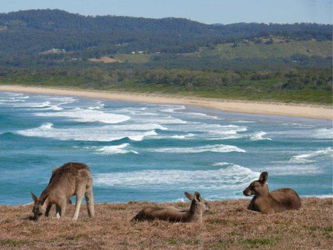 High Tide At Emerald - Accommodation Sunshine Coast 13