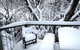 Ramshead Creek 3 - Thredbo - thumb 11