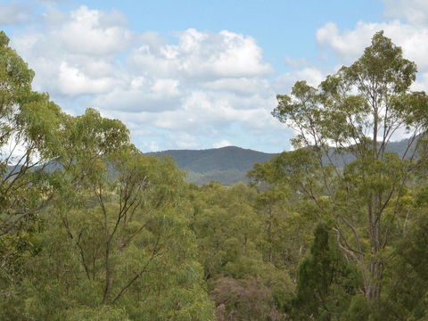 Villa Executive 2br Cypress DS Located Within Cypress Lakes Resort - Accommodation Sunshine Coast 8