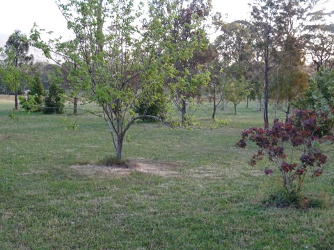 Romanz In The Valley (Luxury B&B) - Accommodation Sunshine Coast 32