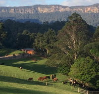 Amaroo Valley Springs