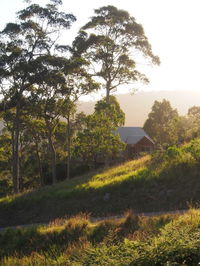 Book Bawley Point Accommodation Vacations Accommodation Sunshine Coast Accommodation Sunshine Coast