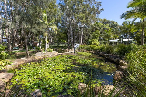 Flynns Beach Resort - Accommodation Sunshine Coast 8