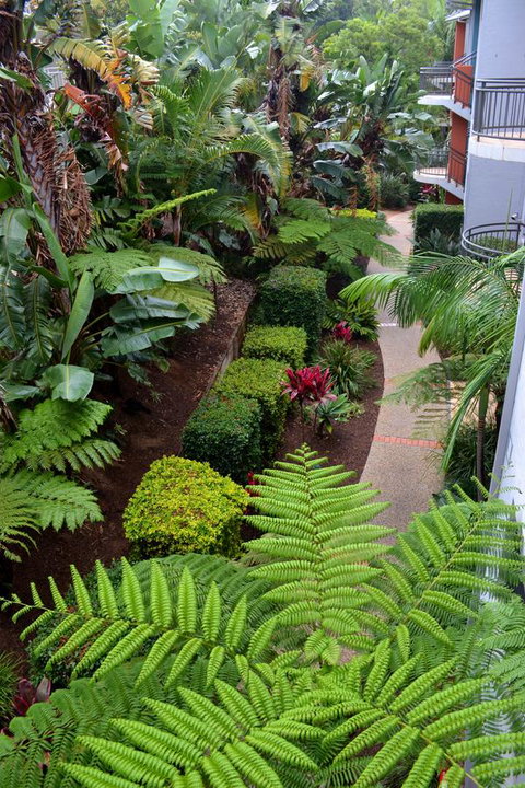 Flynns Beach Resort - Accommodation Sunshine Coast 17