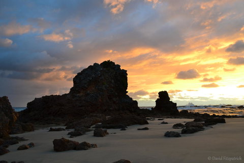 Flynns Beach Resort - Accommodation Sunshine Coast 19