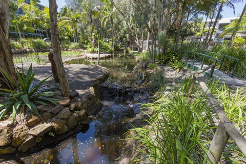 Flynns Beach Resort - Accommodation Sunshine Coast 13