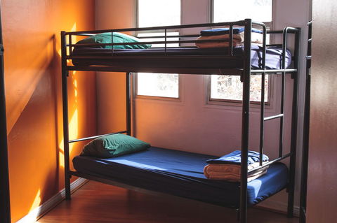 Mad Monkey Kings Cross - Accommodation Sunshine Coast 29