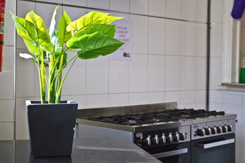 Mad Monkey Kings Cross - Accommodation Sunshine Coast 19