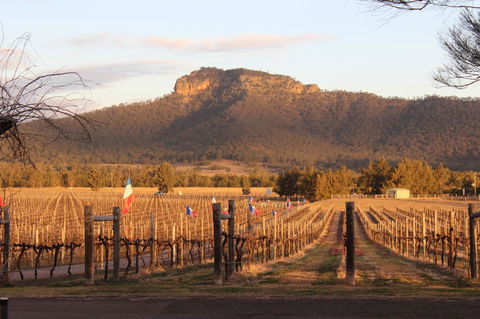 Nightingale Villas - Accommodation Sunshine Coast 4