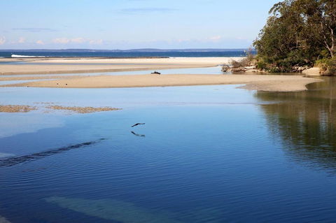 Jervis Bay Beach Shack I Pet Friendly - Accommodation Sunshine Coast 19
