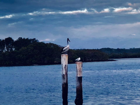 Boathouse Resort (Water Front) - Accommodation Sunshine Coast 15