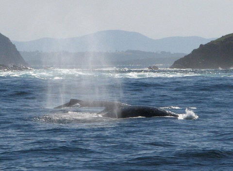 Boathouse Resort (Water Front) - Accommodation Sunshine Coast 26