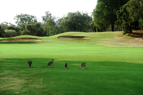 Mulwala Resort - Accommodation Sunshine Coast 40