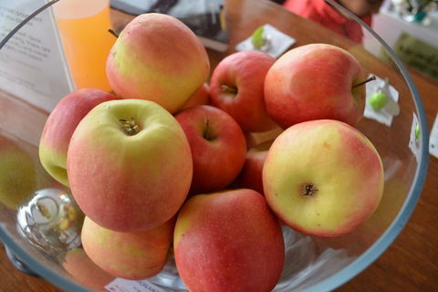 The Apple Inn - Accommodation Sunshine Coast 12