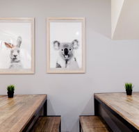 Mad Monkey Backpackers on Broadway - Accommodation Sunshine Coast