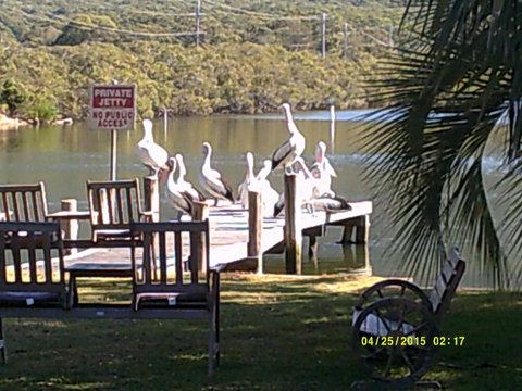 Pelican H2O One & Two Bedroom Apartments - Accommodation Sunshine Coast 9