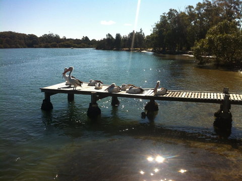 Pelican H2O One & Two Bedroom Apartments - Accommodation Sunshine Coast 5