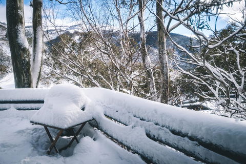 Pure Chalet Thredbo - Accommodation Sunshine Coast 19