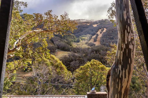 Pure Chalet Thredbo - Accommodation Sunshine Coast 35