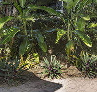 Nineteen on Nudl - Accommodation Sunshine Coast