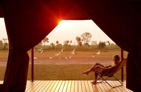 Wildman Wilderness Lodge - Accommodation Sunshine Coast 12
