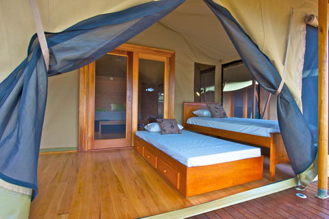 Wildman Wilderness Lodge - Accommodation Sunshine Coast 8