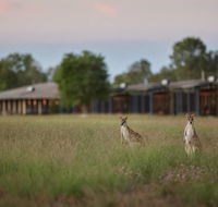 Wildman Wilderness Lodge - Accommodation Sunshine Coast