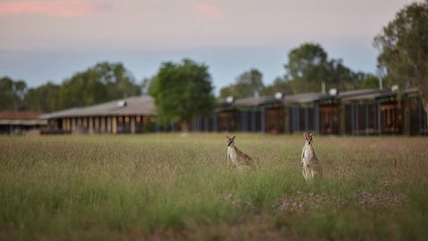 Wildman Wilderness Lodge - Accommodation Sunshine Coast 0