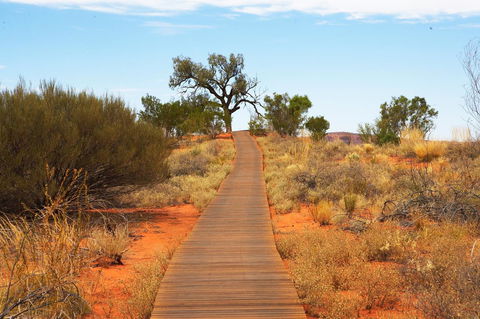 Discovery Resorts - Kings Canyon - Accommodation Sunshine Coast 27