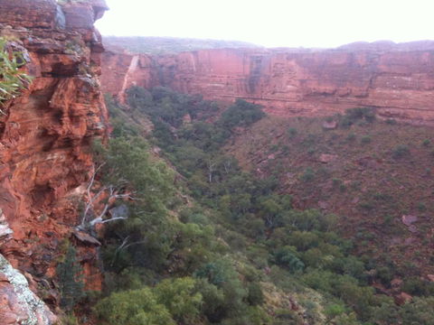Discovery Resorts - Kings Canyon - Accommodation Sunshine Coast 34