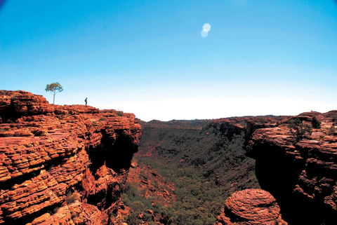 Discovery Resorts - Kings Canyon - Accommodation Sunshine Coast 38