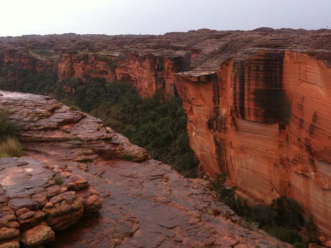 Discovery Resorts - Kings Canyon - Accommodation Sunshine Coast 35