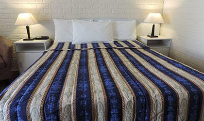 Bondi Motel - Accommodation Sunshine Coast 0
