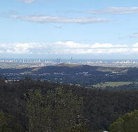 Bottletree Gardens - Mini Manson Blue - Accommodation Sunshine Coast