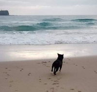 Breakers at Mudjimba Beach - Accommodation Sunshine Coast