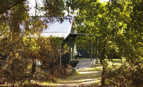 Brodribb River Rainforest Cabins - Cabin 1 - Accommodation Sunshine Coast 2