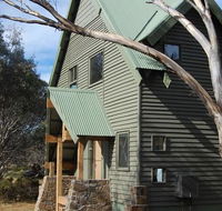 Buffalo - Accommodation Sunshine Coast