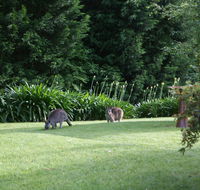 Bundanoon 2578 - Accommodation Sunshine Coast