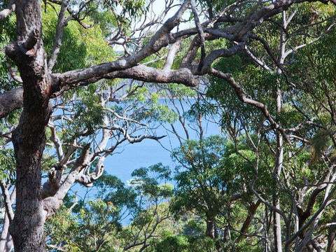 Bynya - 100m To Jonahs! - Accommodation Sunshine Coast 1
