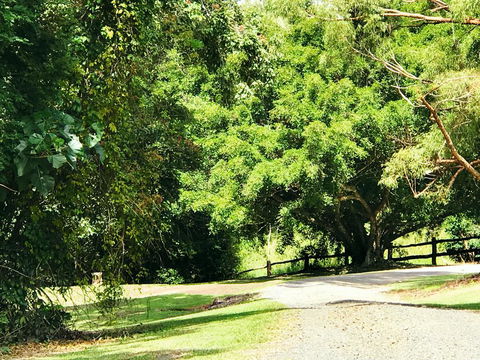 Cadaghi Cottage - Accommodation Sunshine Coast 0