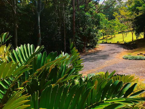 Cadaghi Cottage - Accommodation Sunshine Coast 2